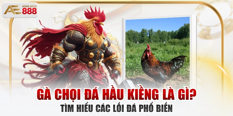 Gà Chọi Đá Hầu Kiềng Là Gì? Tìm Hiểu Các Lối Đá Phổ Biến